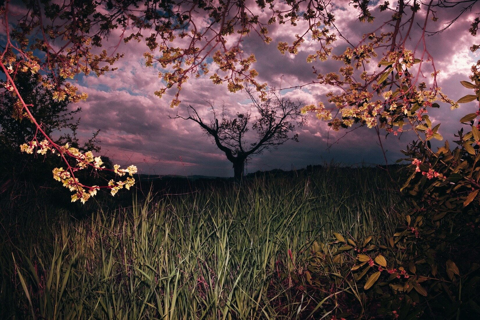 Endless Silence